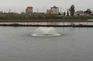 تجهیزات پرورش ماهی کپور