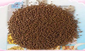 فروش غذای ماهی کپور