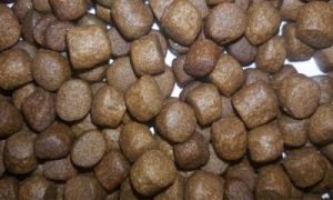 انواع خوراک ماهی