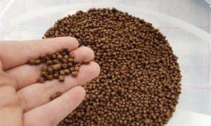 نمایندگی خوراک ماهی